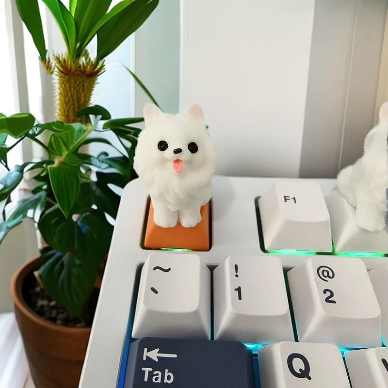 PawKey
