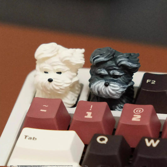 PawKey