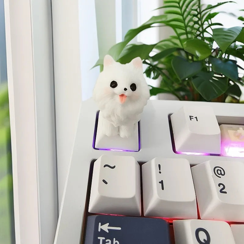 PawKey