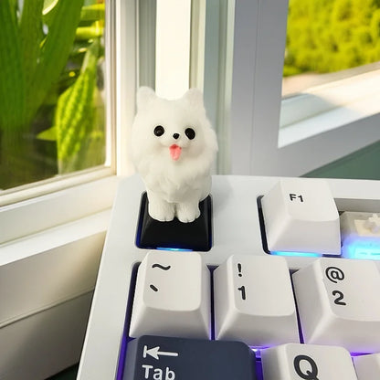 PawKey