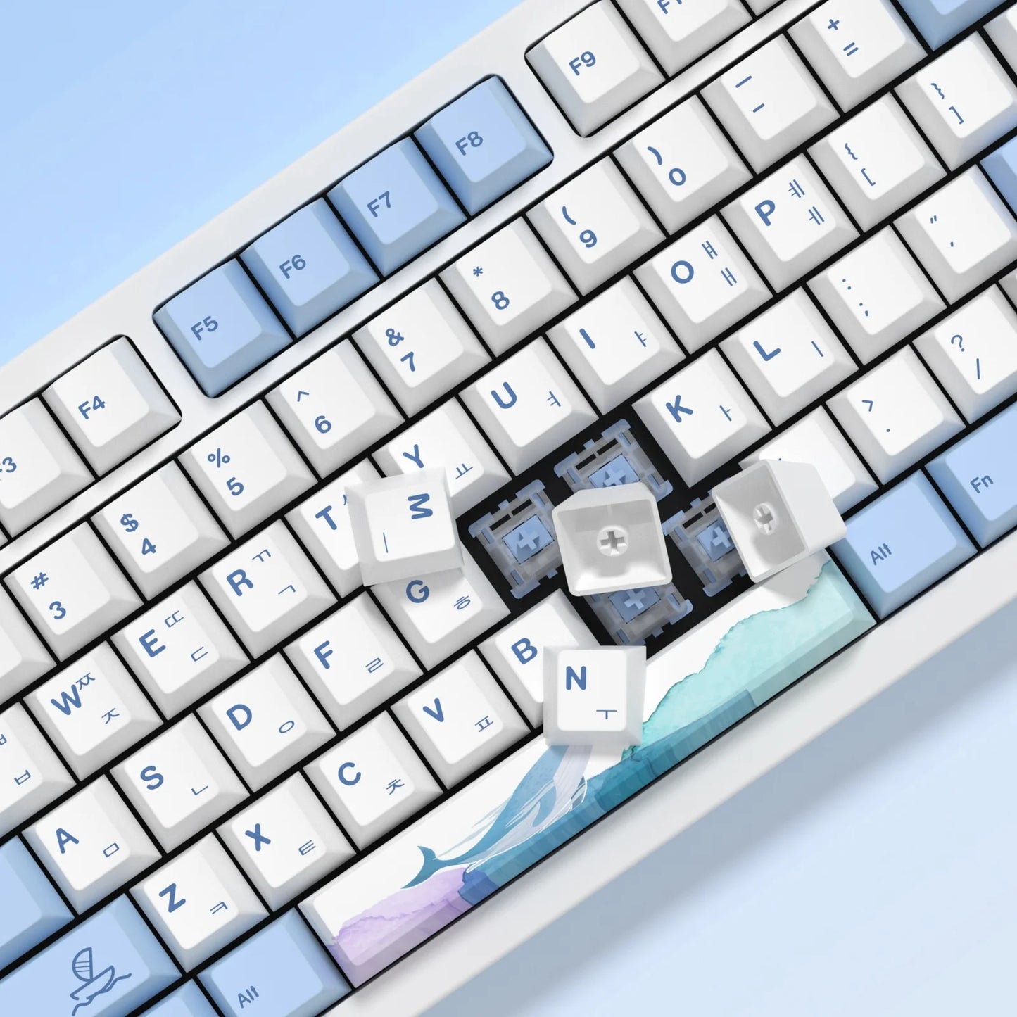 AquaCaps