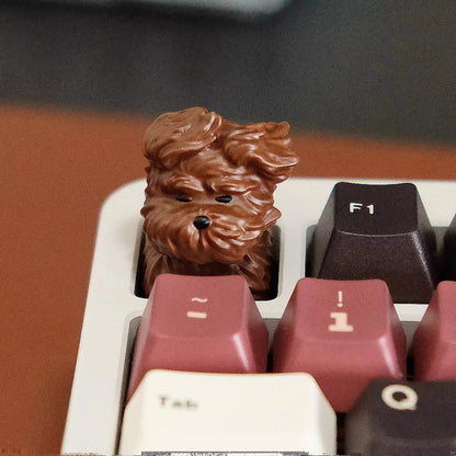PawKey